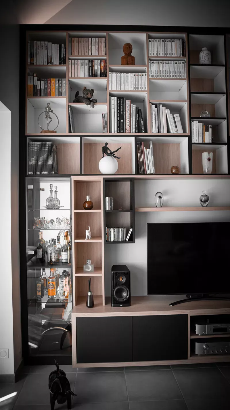 Bibliothèque et meuble TV